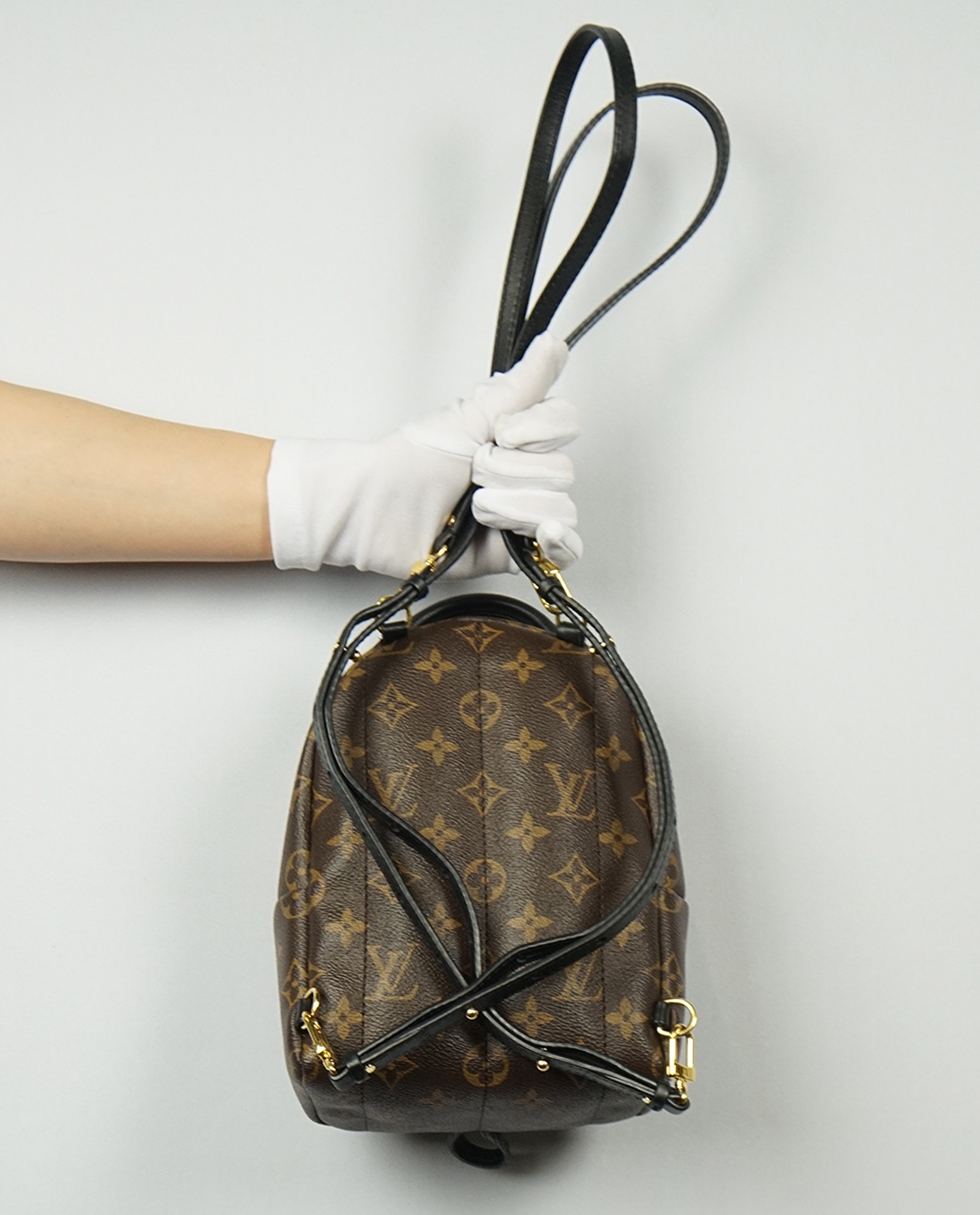 Louis vuitton palm discount springs backpack mini uk